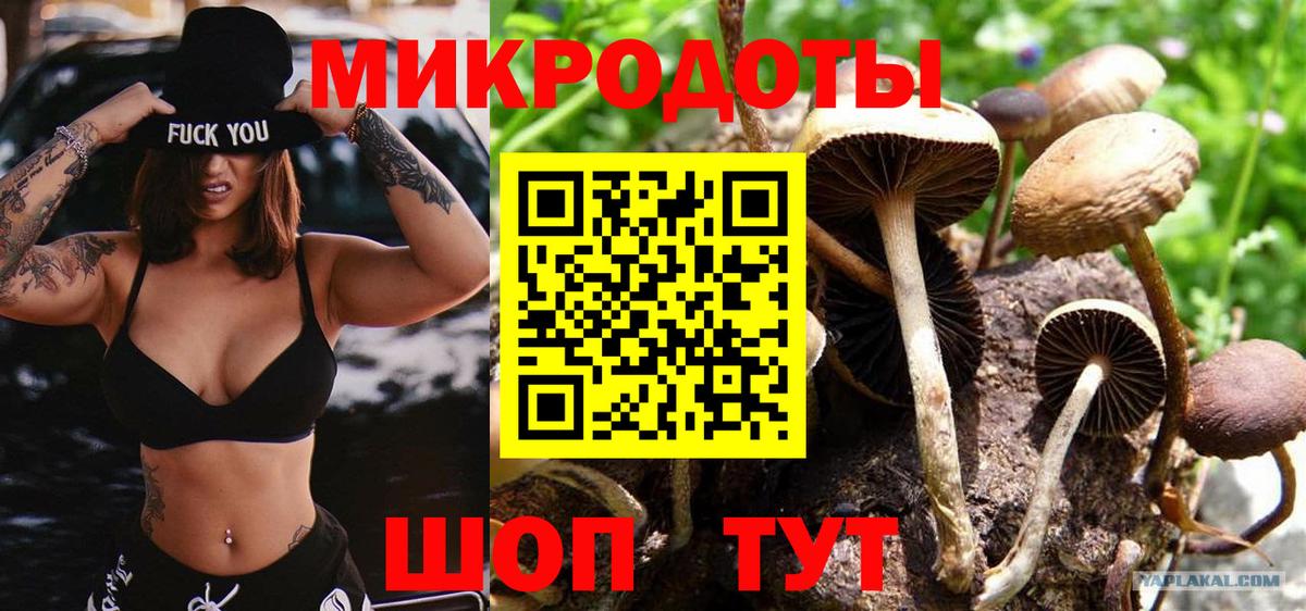 Псилоцибиновые грибы GOLDEN TEACHER Белогорск
